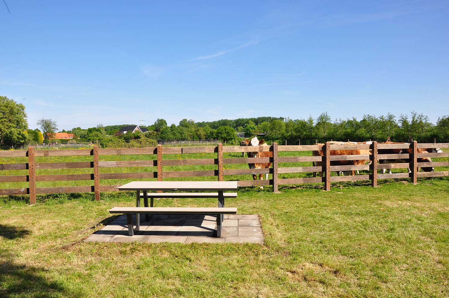 Exterieur Pods - Terra van Velsen - 2 - Gezellige buitenruimte met picknicktafel en uitzicht op koeien Picknicktafel bij de Pods met uitzicht op koeien in Velsen